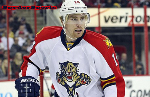 Tomas Fleischmann